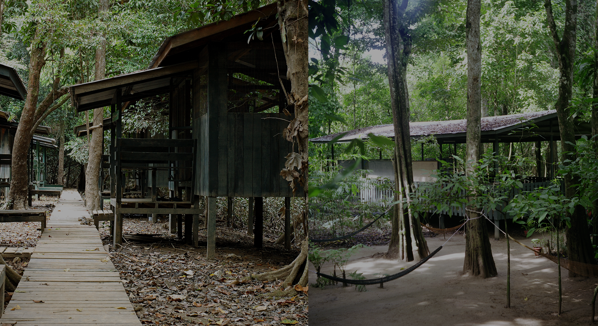 uncle tan home banner4